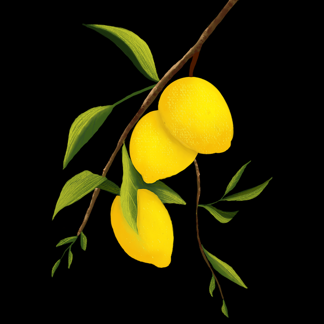 妻社网页版：智能下载与功能全览