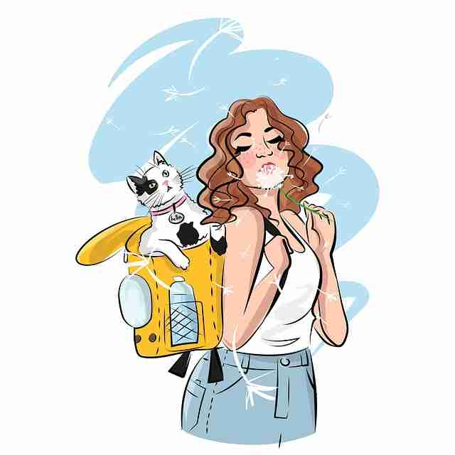 别错过P站！43步玩转机会窗口：超全解析  第2张