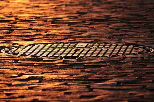 80个理由让你选择P站官方官网，社群玩法｜2025版